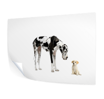 Poster drucken bei fotopost24 - Ihr Online Fotoservice